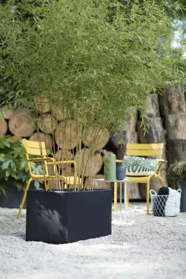 Elho vivo matt finish terrasafscheiding plantenbak met wielen 90 cm living black - afbeelding 3