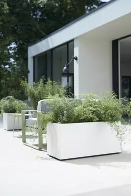 Elho vivo matt finish terrasafscheiding plantenbak met wielen 90 cm wit - afbeelding 5