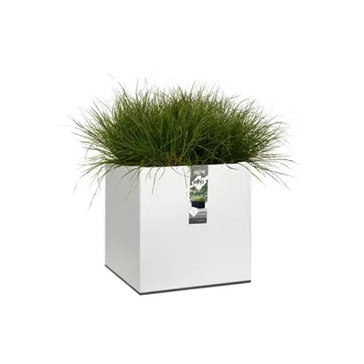 Elho vivo matt finish vierkant plantenbak met wielen 40 cm wit - afbeelding 3
