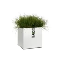 Elho vivo matt finish vierkant plantenbak met wielen 40 cm wit - afbeelding 3
