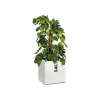 Elho vivo matt finish vierkant plantenbak met wielen 40 cm wit - afbeelding 5