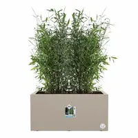 Elho vivo next plantenbak met wielen 60cm paddenstoel beige - afbeelding 6