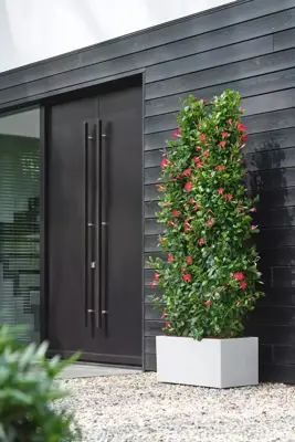 Elho Vivo Next plantenbak met wielen 80cm wit - afbeelding 8