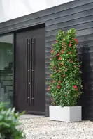 Elho Vivo Next plantenbak met wielen 80cm wit - afbeelding 8