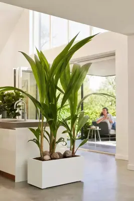 Elho Vivo Next plantenbak met wielen 80cm wit - afbeelding 9