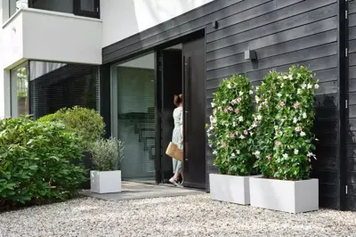 Elho Vivo Next plantenbak met wielen 80cm wit - afbeelding 10