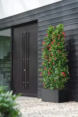 Elho Vivo Next plantenbak met wieltjes 80cm living black - afbeelding 9