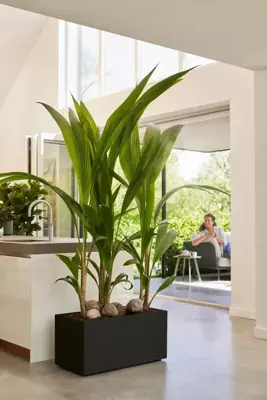 Elho Vivo Next plantenbak met wieltjes 80cm living black - afbeelding 10