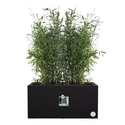 Elho Vivo Next plantenbak met wieltjes 80cm living black - afbeelding 8