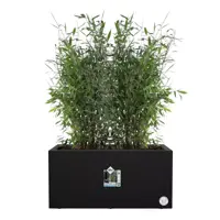 Elho Vivo Next plantenbak met wieltjes 80cm living black - afbeelding 8