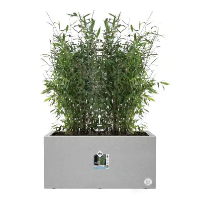 Elho vivo next plantenbak met wieltjes 80cm living concrete - afbeelding 4