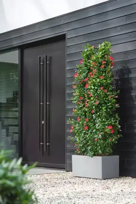 Elho Vivo Next plantenbak met wieltjes 80cm living concrete - afbeelding 9