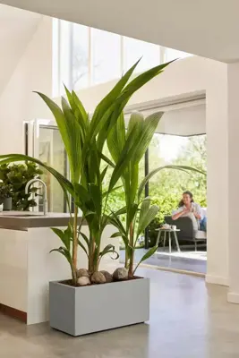 Elho Vivo Next plantenbak met wieltjes 80cm living concrete - afbeelding 10