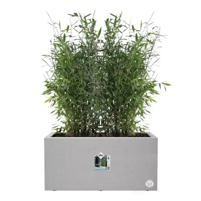 Elho Vivo Next plantenbak met wieltjes 80cm living concrete - afbeelding 8