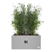 Elho Vivo Next plantenbak met wieltjes 80cm living concrete - afbeelding 8