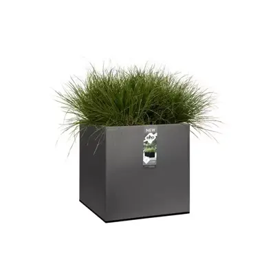 Elho Vivo Next vierkant plantenbak met wielen 40 cm living black - afbeelding 7