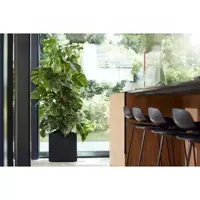 Elho Vivo Next vierkant plantenbak met wielen 40 cm living black - afbeelding 9