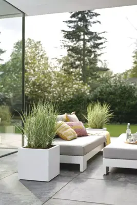 Elho Vivo Next vierkant plantenbak met wielen 40 cm Wit - afbeelding 8