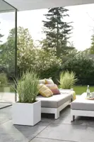 Elho Vivo Next vierkant plantenbak met wielen 40 cm Wit - afbeelding 8