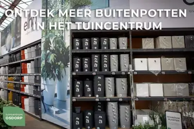 Elho Vivo Next vierkant plantenbak met wielen 40 cm Wit - afbeelding 9