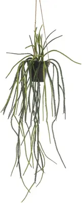 Emerald kunst hangplant rhypsalis 85cm groen - afbeelding 1
