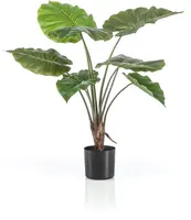 Emerald kunstplant alocasia 70cm groen - afbeelding 1