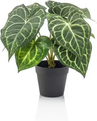 Emerald kunstplant anthurium 23cm groen - afbeelding 1