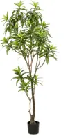 Emerald kunstplant dracaena 190cm groen - afbeelding 1
