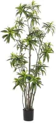 Emerald kunstplant dracaena 210cm groen - afbeelding 1