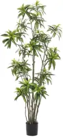 Emerald kunstplant dracaena 210cm groen - afbeelding 1