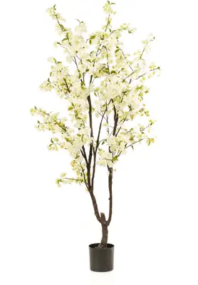 Emerald kunstplant kersenbloesem 210cm wit - afbeelding 1