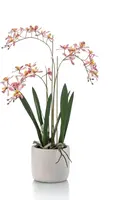 Emerald kunstplant renanthera 56cm roze - afbeelding 1