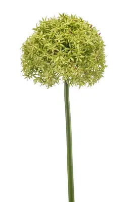 Emerald kunsttak allium 90cm groen - afbeelding 1