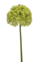 Emerald kunsttak allium 90cm groen - afbeelding 1