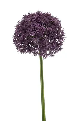Emerald kunsttak allium 90cm paars - afbeelding 1