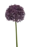 Emerald kunsttak allium 90cm paars - afbeelding 1