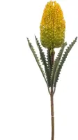 Emerald kunsttak banksia 72cm geel - afbeelding 1