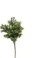 Emerald kunsttak buxus 30cm groen - afbeelding 1