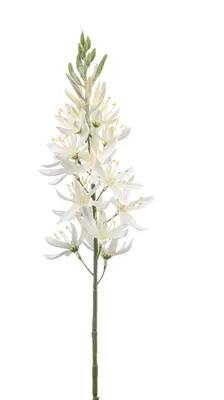 Emerald kunsttak camassia 61cm creme - afbeelding 1