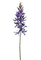 Emerald kunsttak camassia 61cm paars - afbeelding 1