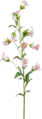 Emerald kunsttak campanula 88cm roze - afbeelding 1