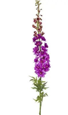 Emerald kunsttak delphinium 130cm paars - afbeelding 1