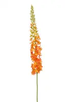 Emerald kunsttak eremurus 130cm oranje - afbeelding 1