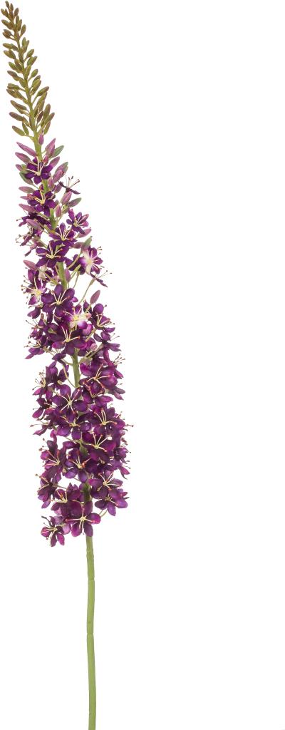 Emerald kunsttak eremurus 130cm paars - afbeelding 1
