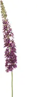 Emerald kunsttak eremurus 130cm paars - afbeelding 1