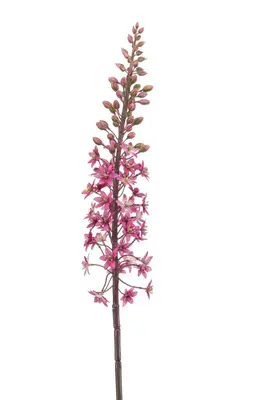 Emerald kunsttak eremurus 95cm fuchsia - afbeelding 1