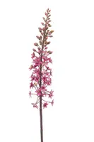 Emerald kunsttak eremurus 95cm fuchsia - afbeelding 1