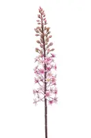 Emerald kunsttak eremurus 95cm roze - afbeelding 1