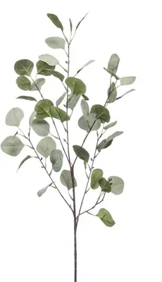 Emerald kunsttak eucalyptus 87cm groen - afbeelding 1