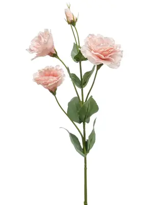 Emerald kunsttak eustoma 68cm roze - afbeelding 1